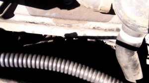 Не завелся двигатель на WV Т4 1,9