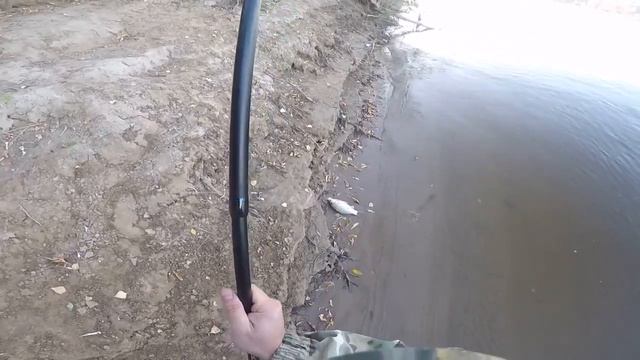 С фидером на Ахтубе смотреть онлайн