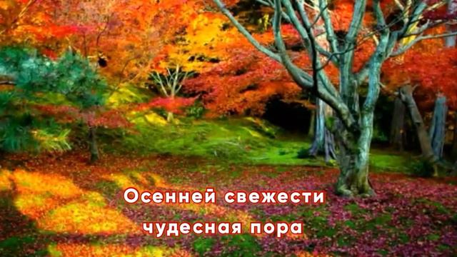 Поздравление с днём рождения смотреть онлайн