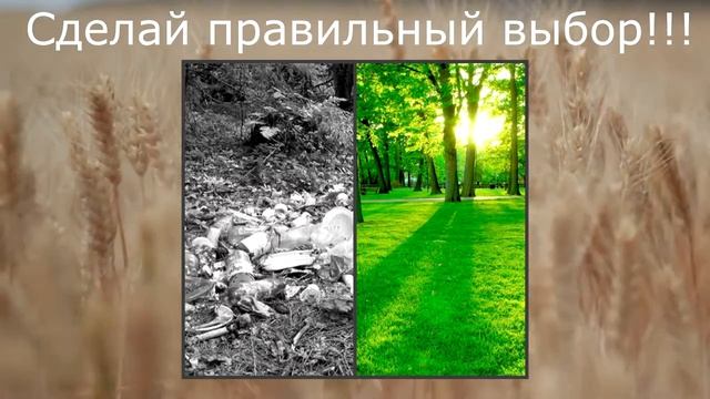 Мы природу всю спасём,Ведь Земля наш общий дом! смотреть онлайн