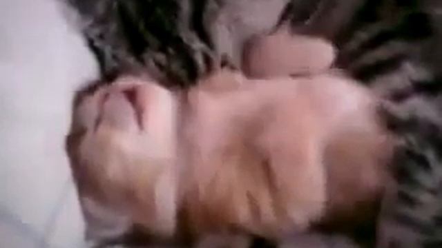 Как мило, С 8 марта МАМЫ=)! смотреть онлайн