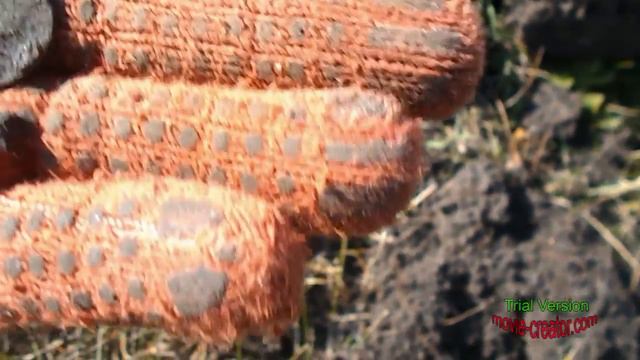 поиск монет-пахнет сеном на лугах смотреть онлайн