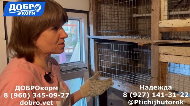 Кеклики смотреть онлайн
