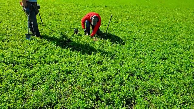 Thousands of TREASURE HUNTERS Pound The Ground (TONS OF HISTORY) смотреть онлайн