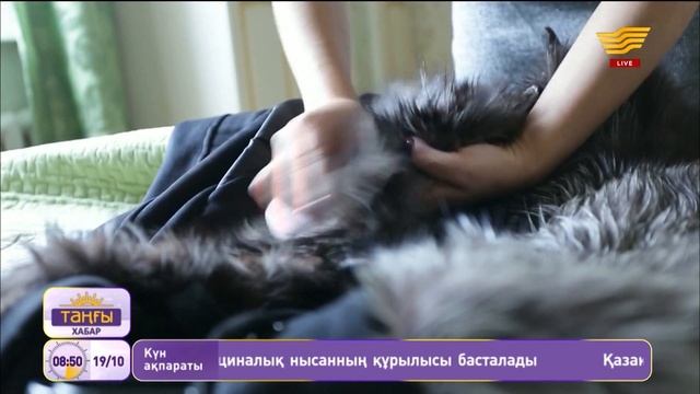 Қыстық киімдерді қалай тазалау керек? смотреть онлайн