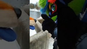 Фурри из тт 10 часть