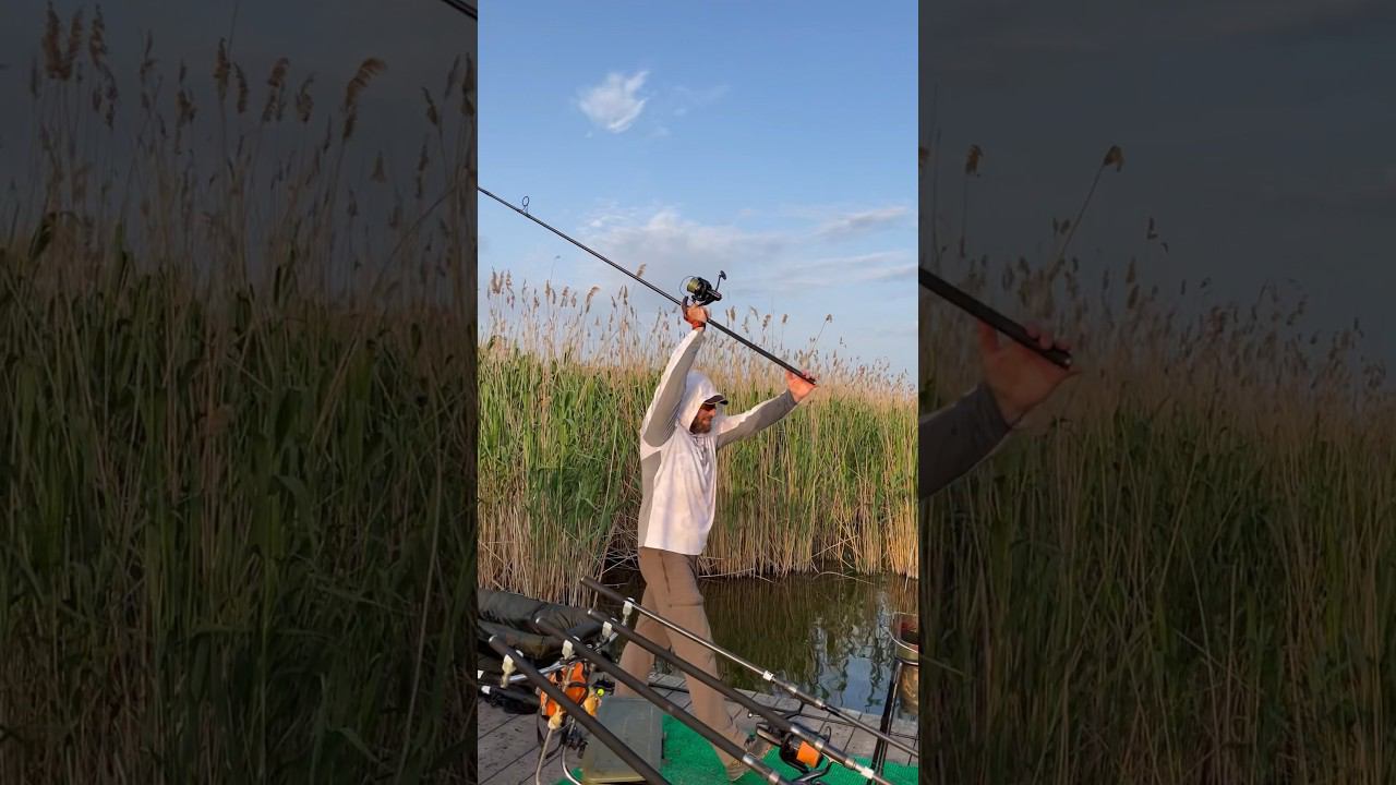 Кубок России по карпу 2023! Начало! смотреть онлайн