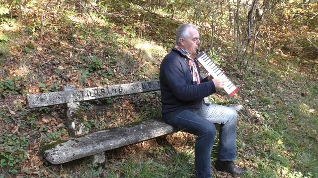 Songe d'automne - Archibald Joyce - melodica - Jean-Claude Welche смотреть онлайн