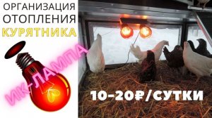 Отопление курятника ИК-лампой ? 10-20 ₽/сутки