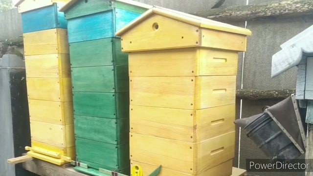 Альпийский улей или идеальная ловушка.. смотреть онлайн