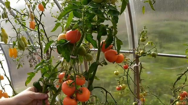Подводим итоги 2020 года смотреть онлайн