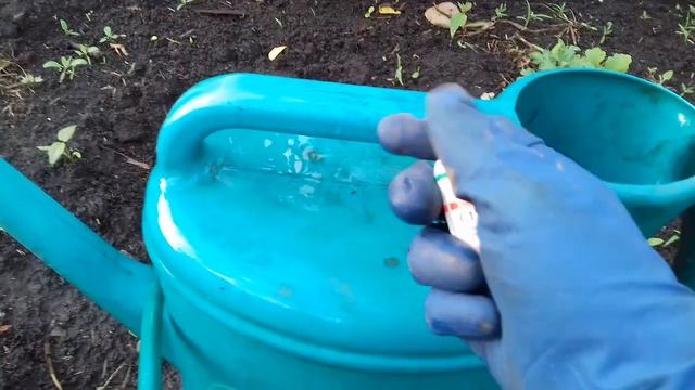 ПЛОХАЯ ПРИЖИВАЕМОСТЬ САЖЕНЦЕВ РОЗ.КАК ОЖИВИТЬ И ПРОБУДИТЬ ПОЧКИ НА РОЗАХ.РЕАНИМИРУЕМ САЖЕНЦЫ. смотреть онлайн