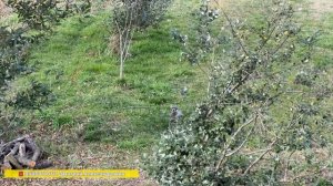 Купить дом в Сочи! Кудепста!