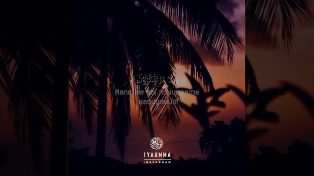 27 Сура | 62-63 Аяты. Чтец: 🗣Ислам Субхи. смотреть онлайн