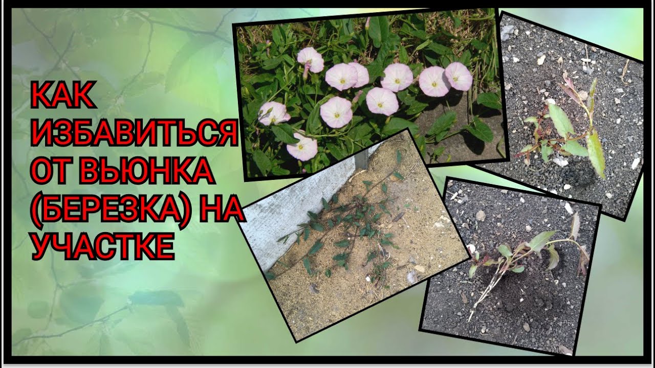 Гениальные дачные тайники и практичные зоны хранения любого инвентаря