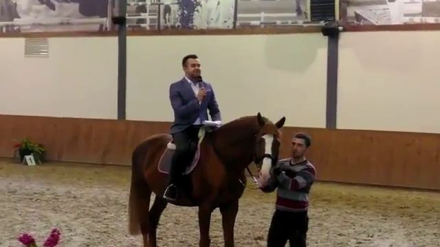 Ведущий, который всегда на коне!!! Максим Прийменко смотреть онлайн