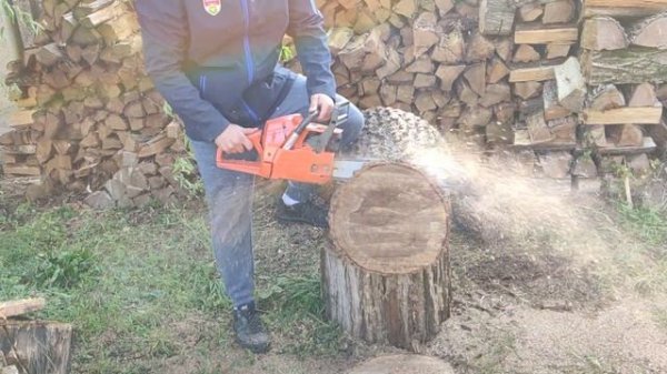 Husqvarna 262 xp chainsaw