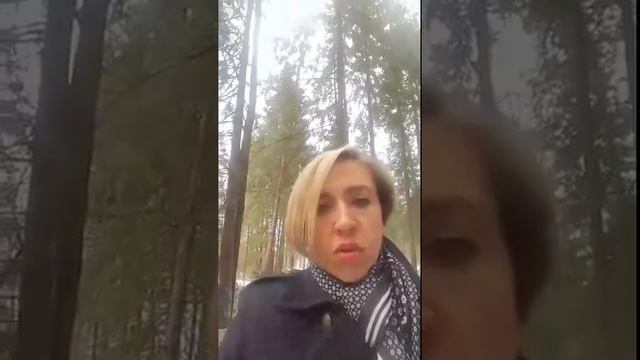 Вы платите много налогов? Вы хотите уменьшить расходы на бухгалтера? https://www.dialir.ru смотреть онлайн