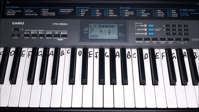 Speak function || Lesson Lite || Regulating Female Voice || Casio CTK 2550 смотреть онлайн