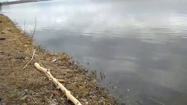 Рыбалка на хариуса в Есаульском бору 9 05 18 смотреть онлайн