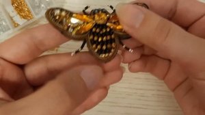 Брошь Пчела из бисера и кристаллов своими руками /мастер-класс для начинающих| DIY/Ч.4