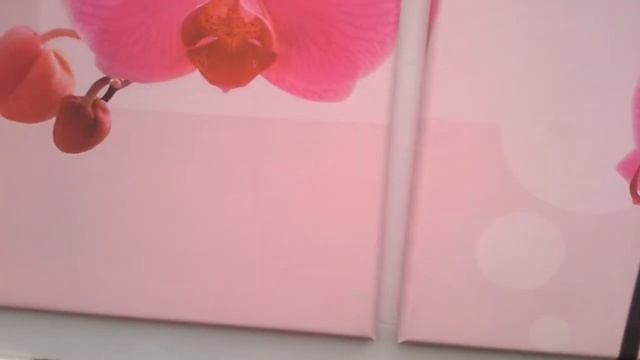 Модульная картина орхидеи 175 смотреть онлайн