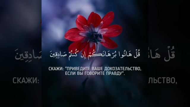 Прекрасное чтение Корана Сура 2 Аль-Бакара, Аяты 110-113, чтец Арби Аш Шишани смотреть онлайн
