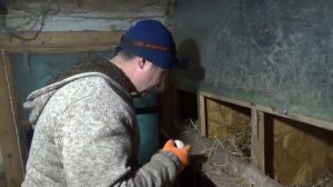 Какие у меня размеры гнезд для кур несушек.