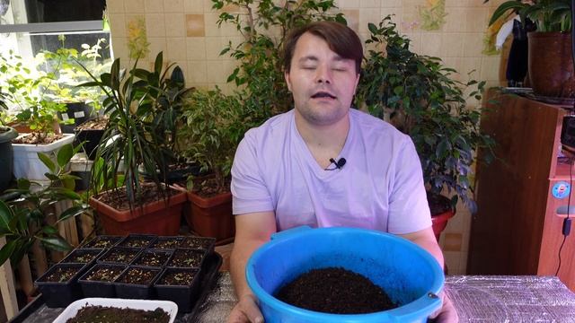 ОБ ЭТОМ И НЕ ТОЛЬКО... #Пикировка #эустома. Когда? Как? Во что? Идеальный #грун для #эустомы. смотреть онлайн