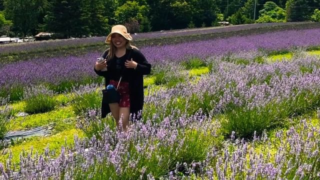 Lavender Love - Kelso Lavender, Milton, ON смотреть онлайн