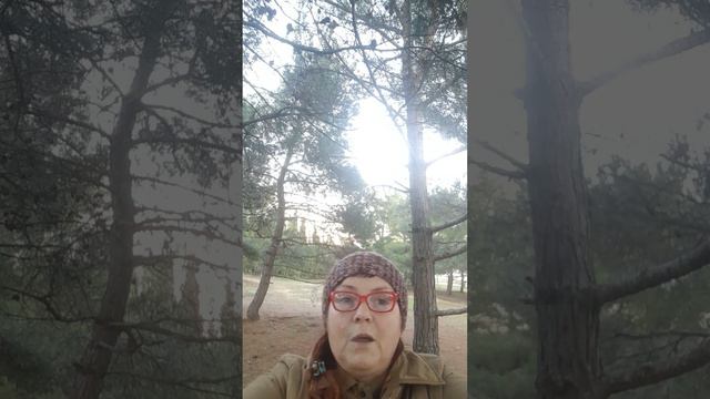 Бегай, чтобы чувствовать себя живым! смотреть онлайн