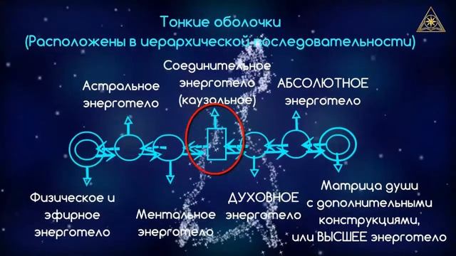 ЧЕЛОВЕК. ПОСТОЯННЫЕ И ВРЕМЕННЫЕ ЭНЕРГОТЕЛА ЧЕЛОВЕКА. СЕКЛИТОВА Л.А. СТРЕЛЬНИКОВА Л.Л. смотреть онлайн