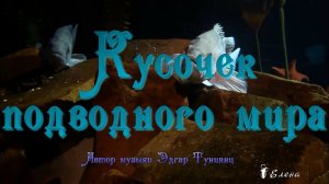 Кусочек подводного мира *  Музыка Эдгар Туниянц