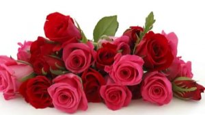 Александр Закшевский   «Девчонки с праздником 8 марта»