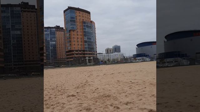 Алиса (Керри Блю терьер Волжский Аркос Цессия). курсинг тренировка смотреть онлайн