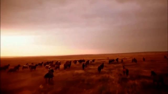 Жанна Бичевская - Любо, братцы, любо смотреть онлайн