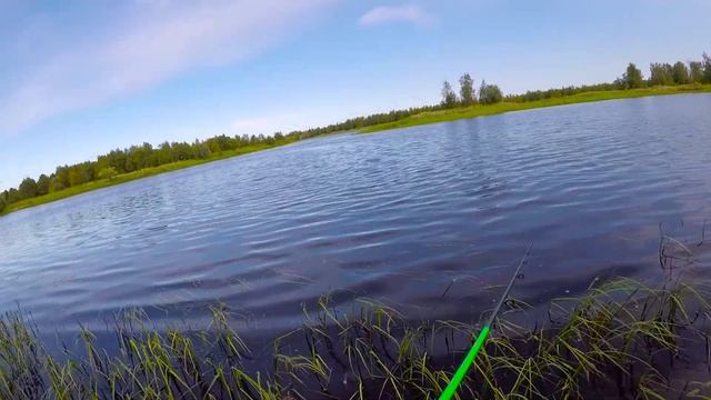 ЧАСТЬ 2: МОЯ ТРОФЕЙНАЯ РЫБАЛКА-PART 2: MY TROPHY FISHING смотреть онлайн