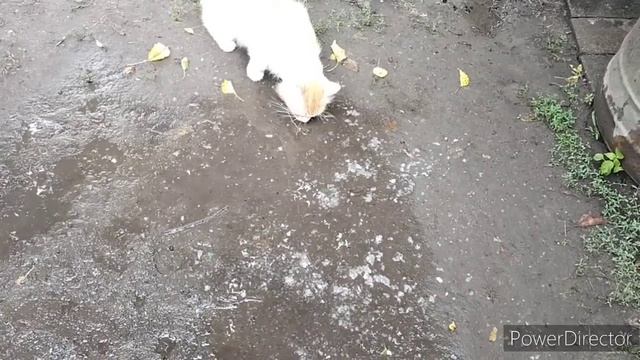 Славянск.05.08.22.Рыбалка удалась. Истории нашего времени. смотреть онлайн