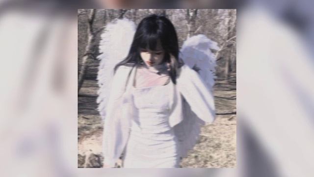 DADADA-Инстасамка Speed Up