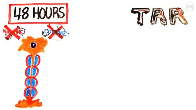 Что будет происходить если бросить курить смотреть онлайн