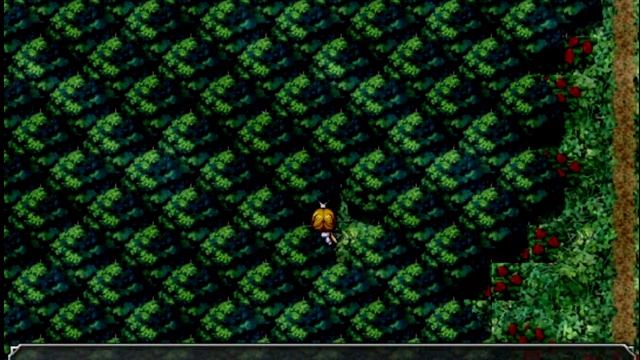 Двойной обзор. Masou Gakuen HxH and The Witch's House. смотреть онлайн