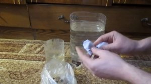 Разведение дафнии на банановых корках.