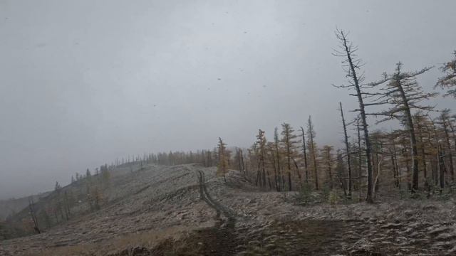 Хребет Крака 1 часть смотреть онлайн