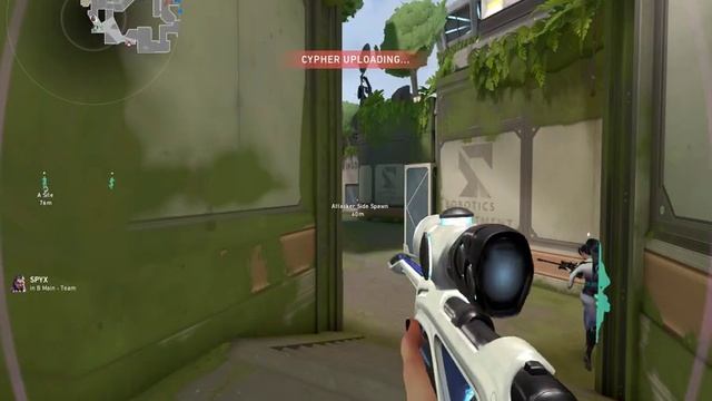 cheeky op ace смотреть онлайн
