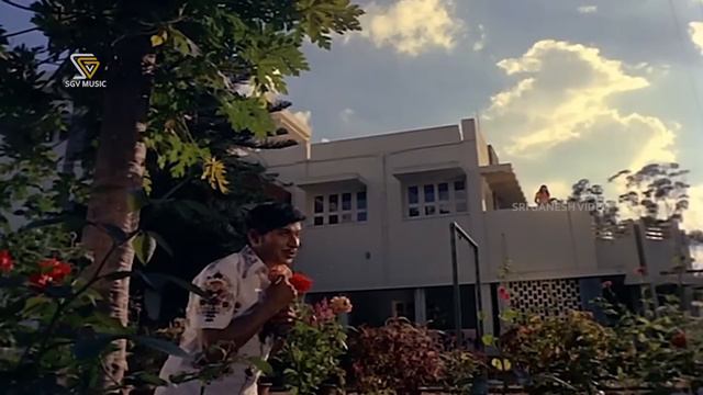 Ninade Nenapu Dinavu Manadalli Song Video - Raja Nanna Raja | Dr Rajkumar | Aarathi | PB Srinivas смотреть онлайн