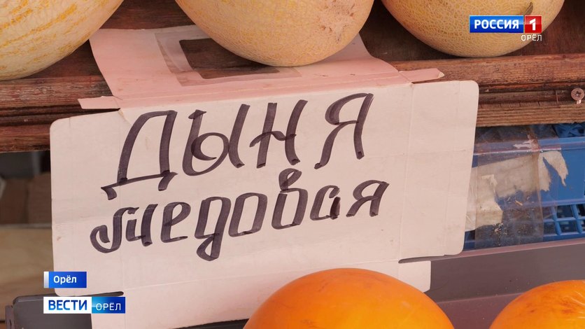 Россельхознадзор проверил первые дыни на орловских прилавках смотреть онлайн
