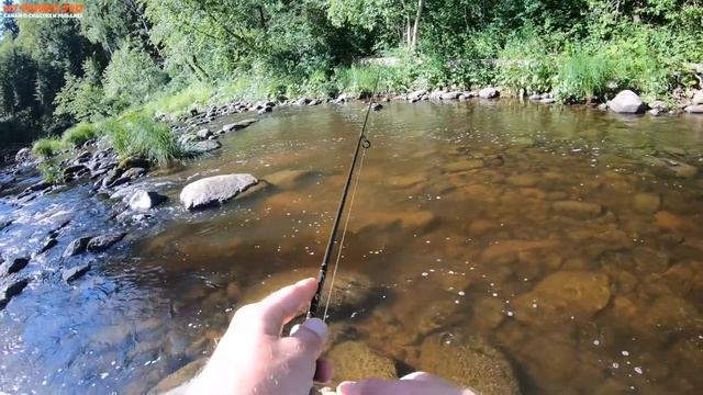 ФОРЕЛЕВЫЙ РЕЛАКС! Ловля форели и хариуса спиннингом! Блесна VS воблер смотреть онлайн
