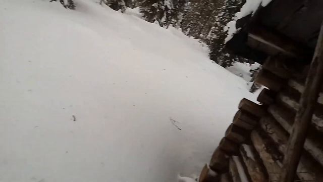 Поздка в избу р.ухта часть вторая смотреть онлайн