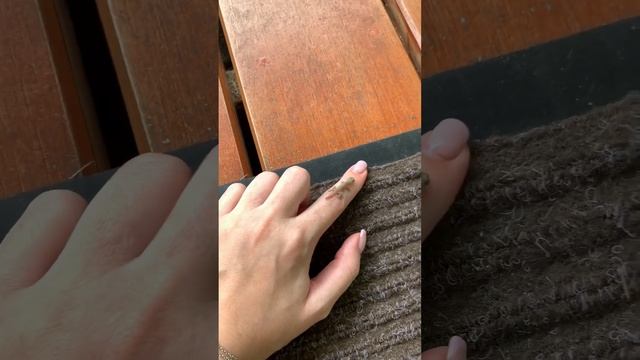 Маленький геккон смотреть онлайн