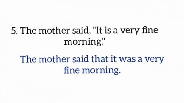 Direct and Indirect Speech. Assertive Sentences Practice exercise. Solved exercise.